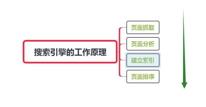 網(wǎng)站怎么讓蜘蛛快速抓??？