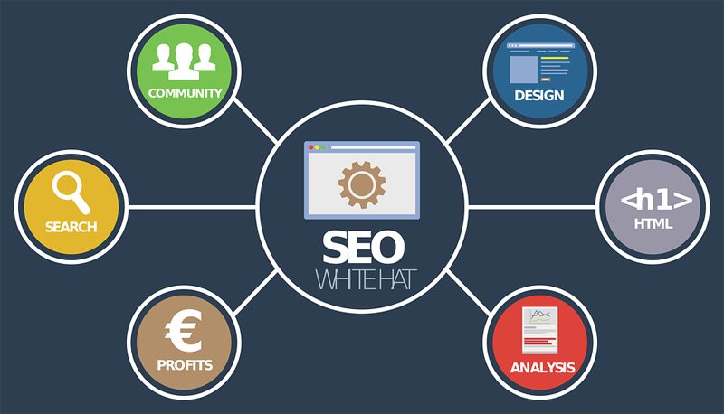SEO優(yōu)化中常見的問題是什么？