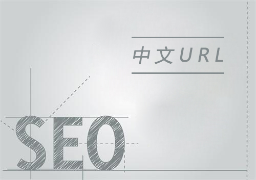 中文URL利于網(wǎng)站SEO優(yōu)化嗎？(圖1)