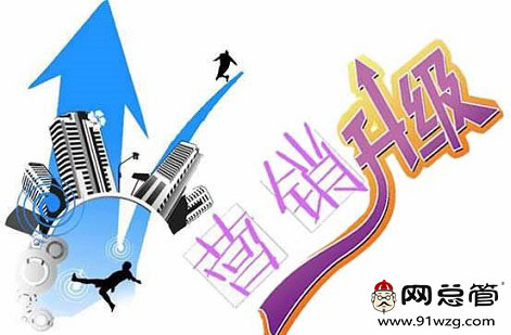 全網(wǎng)營銷