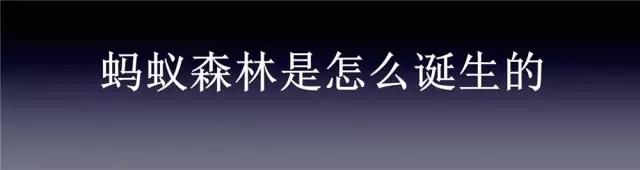 我是「螞蟻森林」產(chǎn)品經(jīng)理，聽說有2.3億人想認(rèn)識我？
