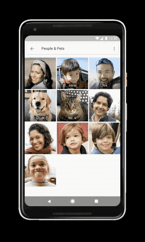 Google Photos 更新面部識別功能，喵星人、汪星人也有自己的「名片」了